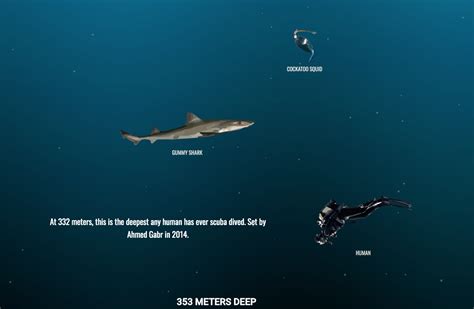 Sitting at a depth of 10,928 meters (35 expedition and dive to the bottom of the marianas trench in the western pacific ocean. This Scrolling Map Of The Ocean's Depths Will Make You ...