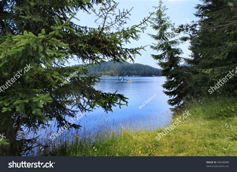 Boat At Beautiful Mountain Lake Pine Trees Nature