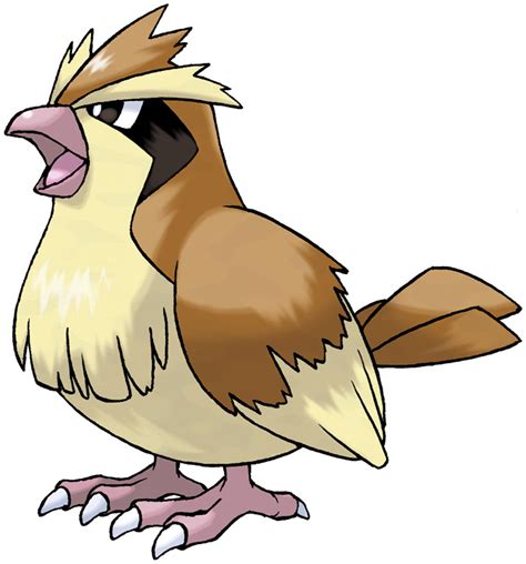 Pidgey Pokédex Stats Moves Evolution And Locations Pokémon Database