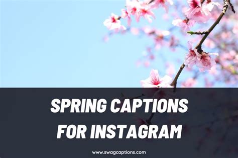 Best Spring Captions And Quotes For Instagram In 2024
