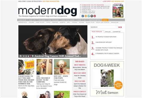 The Dog List Modern Dog Magazine