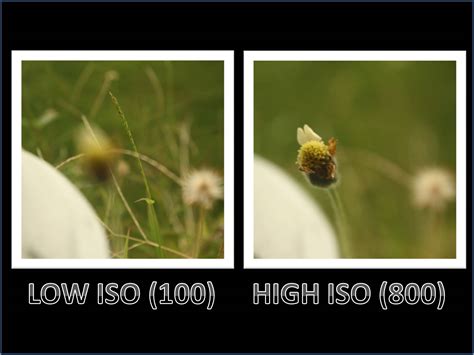 Photography: Applications and principles of photography