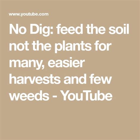 No Dig Feed The Soil Not The Plants For Many Easier Harvests And Few