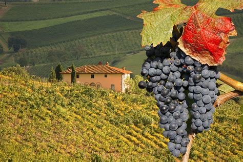 A Wine And Food Tour Of Tuscany