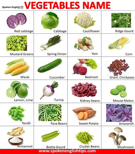 Vegetables Name 100 List Of Vegetable Name In English With Picture