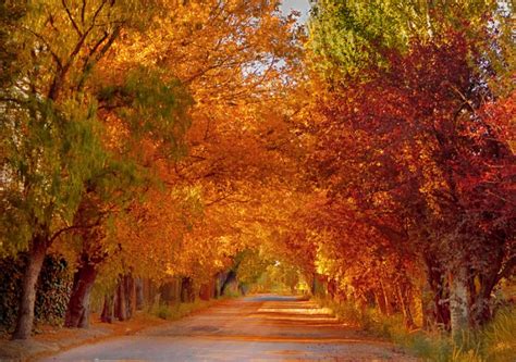 En el hemisferio boreal empieza a finales de septiembre y termina a finales de diciembre. Otoño en Mendoza | Mendoza Travel