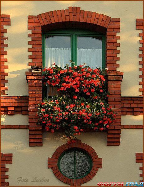 В Европе окна все в цветах - у россиян восторг в глазах - Для украшения ...