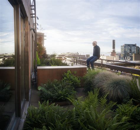 Olson Kundig — Urban Sanctuary