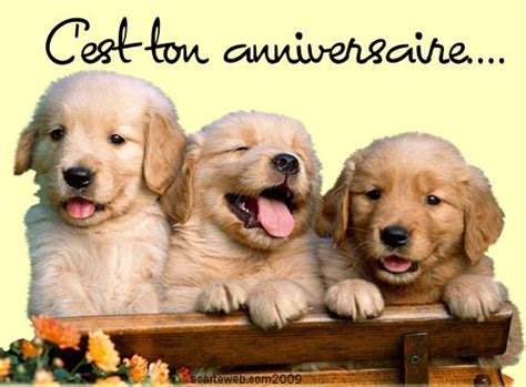 Carte Anniversaire Avec Chien