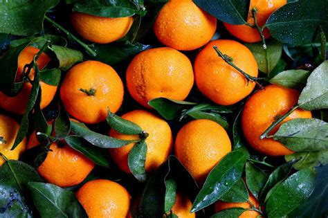 Download Fresh Oranges Royalty Free Stock Photo And Image