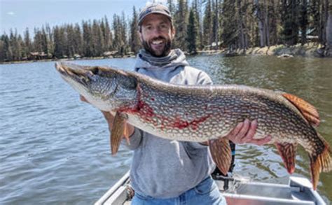Lake fishing in montana can be enjoyed year round, as long as you don't mind wrapping up and ice fishing in the winter. Fly Fisherman Lands Monster Pike (ARTICLE VIA SEELEYLAKE ...
