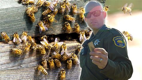 Watch A Bee Theft Detective Bust A Hive Heist Vice Video