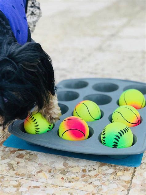 38 Diy Dog Projects Easy To Build Creations For Your Pup