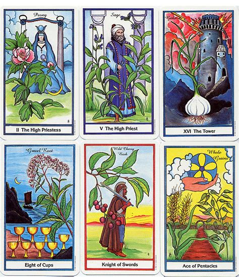 Herbal Tarot Deck With Guidebook Botanical Tarot Card Deck Etsy