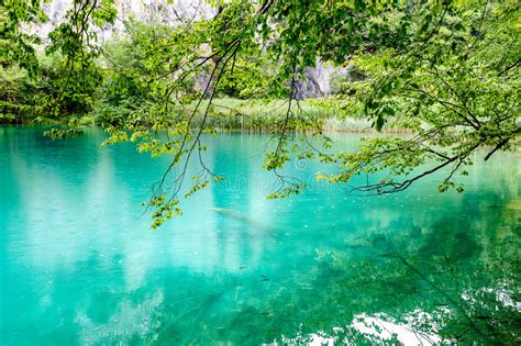 Clear Water Of Plitvice Lakes Croatia Stock Photo Image Of Park