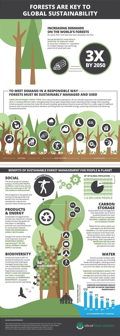 Wbcsd’s New Infographic On Forests Highlights The Importance For All Forests Of Sustainable