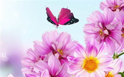 🔥 Free Download Flower Background Wallpaper Desktop Wallpapers