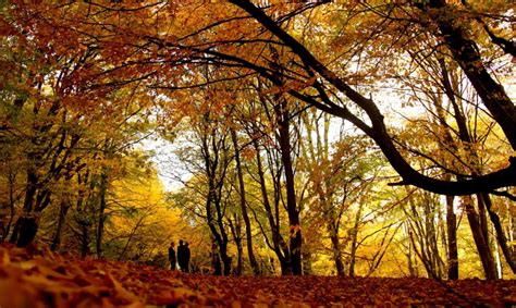 I colori dell'autunno nelle foto più belle - Panorama