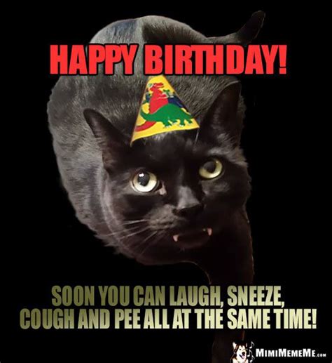 Pin On Funny Animal Birthday Memes