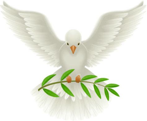 The Dove With The Olive Branch The Dove With The Olive Branch