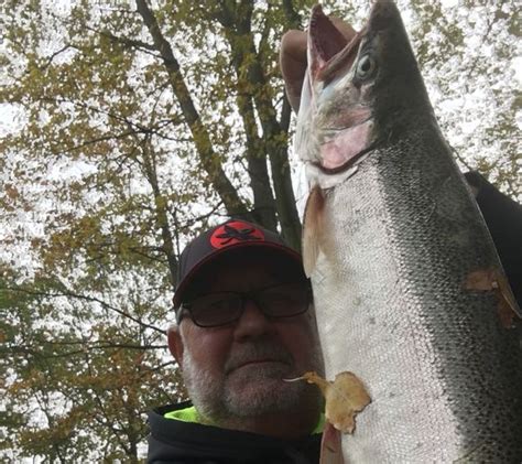 Fishing Reports Best Baits And Forecast For Fishing In Ashtabula River