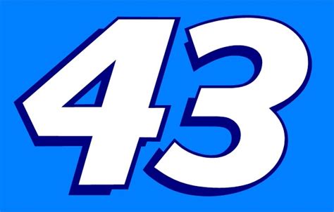There are many people out there that watch nascar. 43 RACE NUMBER DECAL / STICKER 2 COLOR b