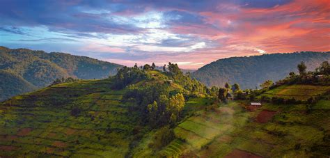 2 days ago · the organisation uganda women's network said at the time that the legislation was in conflict with the country's constitution, which guarantees equal rights for both sexes. Celebrating Uganda's unbeatable natural splendour
