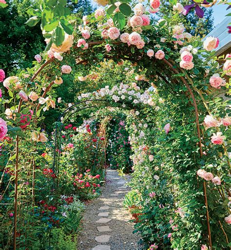 Create A Beautiful Rose Garden Garden Gate