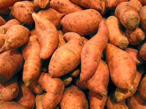 Sweet Potato, FREE Stock Photo, Image, Picture: Sweet Potato, Royalty-Free Vegetable Stock ...