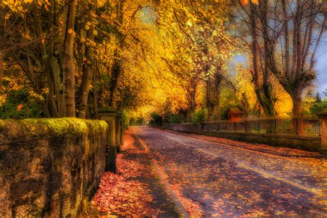 Autumn In Lenzie 5k Retina Ultra Hd Wallpaper And Background Image