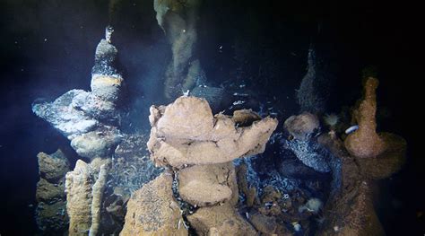 Life At The Extremes Microbiology Of Deep Sea Volcanoes Rutgers
