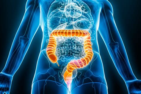 Abivax Addressing The Need For Long Term Effective Treatments For Inflammatory Bowel Diseases