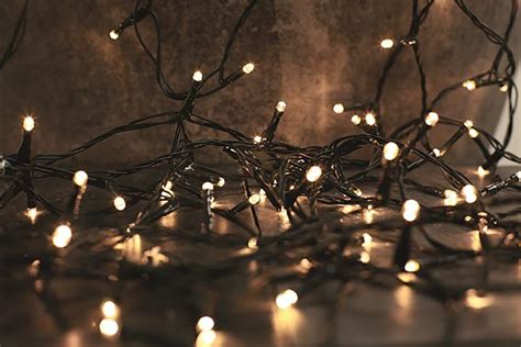 1000 Warm White Led String Lights The Christmas Forest