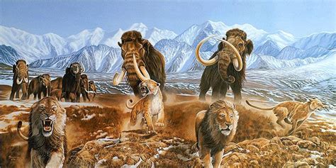 Making Sense Of Mixed Messages From The Mammoth Steppe Prehistoric