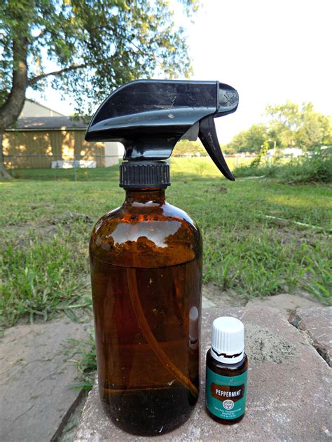 But, with warm temperatures come insects that can bother you and your family. All Natural Peppermint Pest Spray | Pest spray, Natural bug spray, Peppermint spray