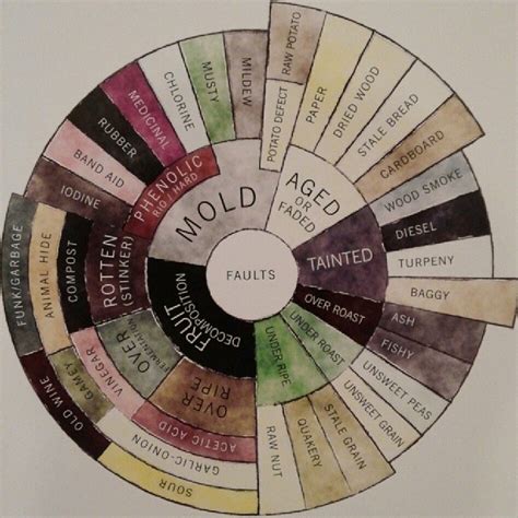 Maruyama coffee blend x kuro kirishima. Counter Culture Releases A New Coffee Taster's Flavor Wheel And It Is Glorious