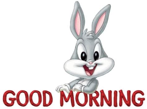 Good Morning Rabbit Good Morning Cartoon Funny Good Morning Images