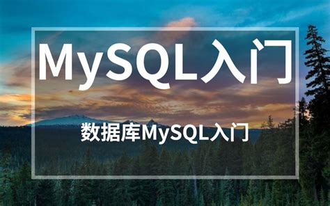 Mysql数据库新手入门最佳教程1天就可以学会mysql数据库mysql数据库基础知识mysql新手入门教程详解数据库mysql入门