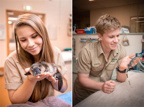 Australia Zoo Wildlife Hospital Brisbanista