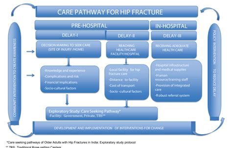 Proposed Conceptual Framework Of Care Pathway For Hip Fracture