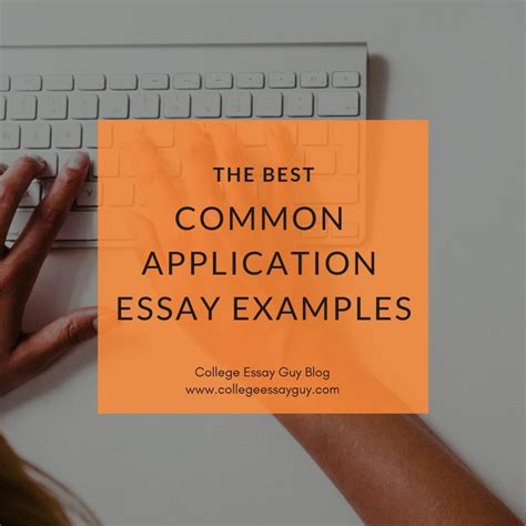 The university of uva common app essay virginia has five supplement essay prompts to choose from. The Best Common App Essay Examples | Common app essay ...