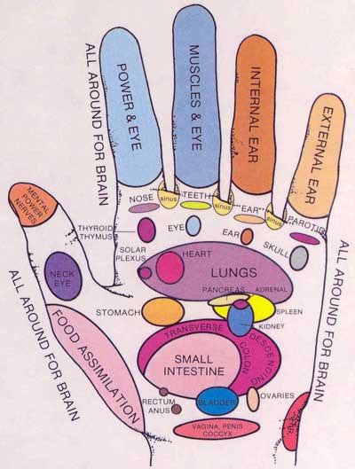 Hand Massage And How It Relates To Our Body Reflexology Foot Chart Reflexology Massage