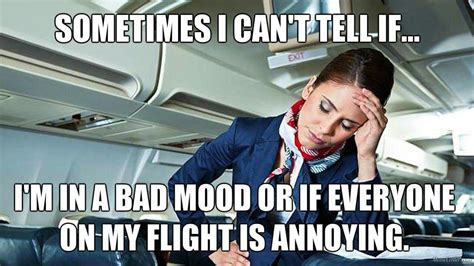 or it s both flight attendant humor airline humor flight crew humor