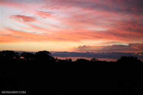 Sunset Over The Amazon Rainforest