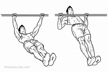 Inverted Row Ups Exercise Chin Exercises Pull