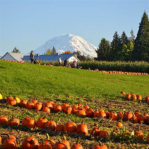 October Guide to Gourds, Ghouls and Good Fun in the South Sound