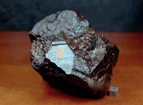 Masse Principale Individuel Dhofar 1731 H5 Chondrite Avec Croûte