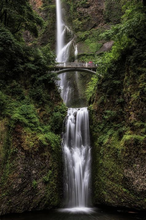 Waterfall Portland Oregon Usa Photograph By Jonathan Tucker