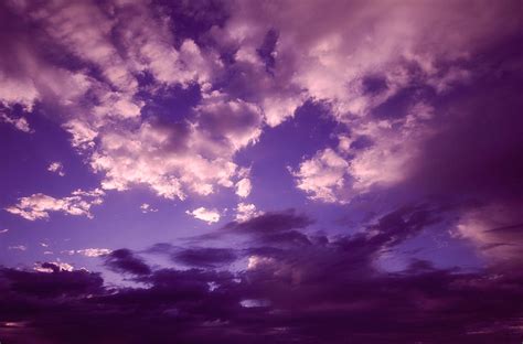 Purple Clouds Photograph By Ariane Moshayedi