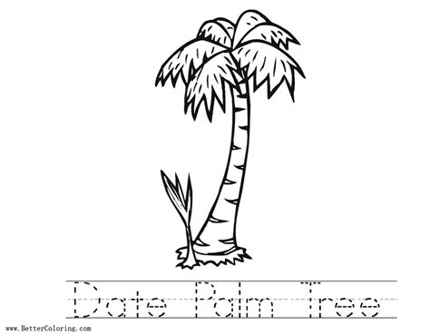Palm tree branch coloring page free printable coloring pages. Date Palm Tree Coloring Pages Worksheets - Free Printable ...